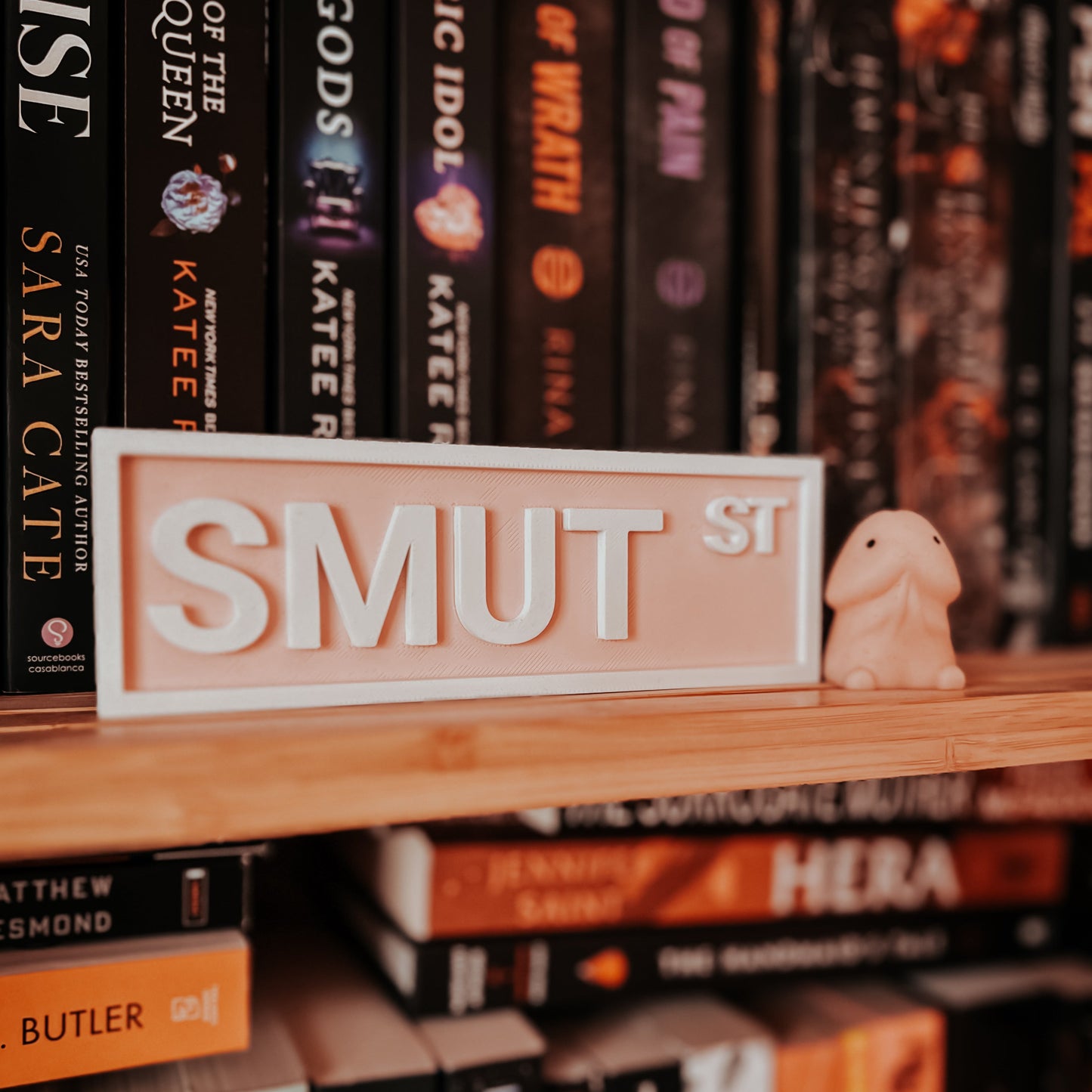 Bookshelf with books and a decorative sign reading 'Smut St'.