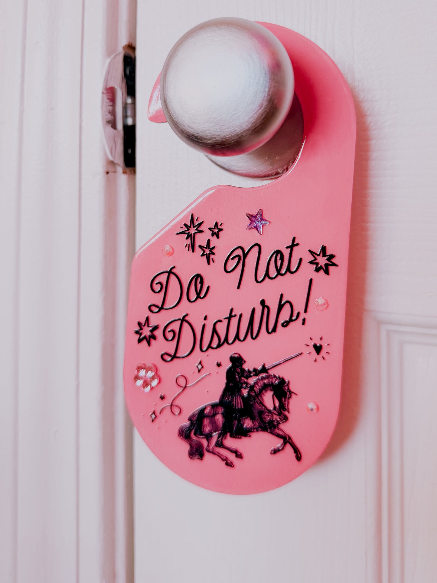 Do Not Disturb • Whimsical Door Sign