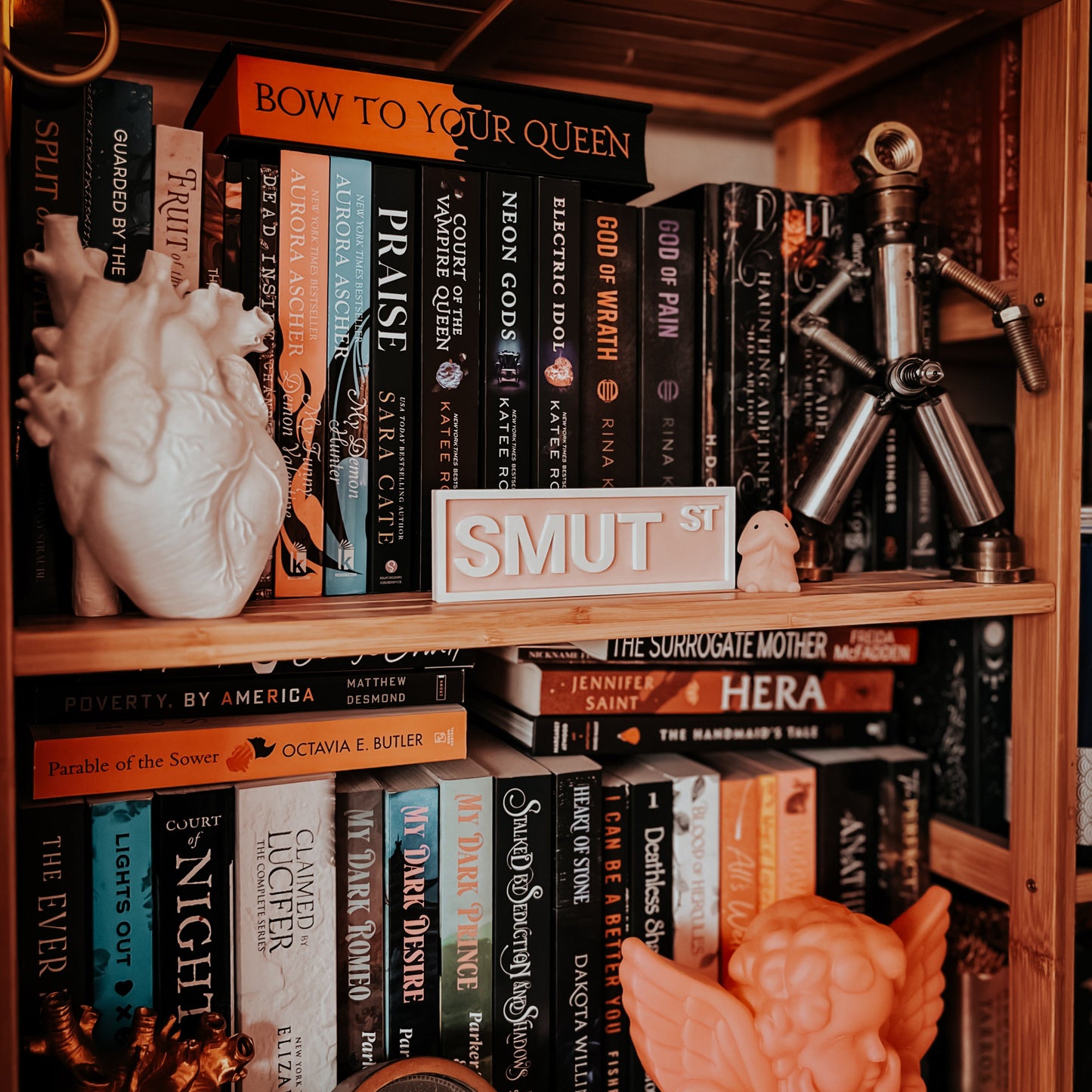 Smut Street Bookshelf Sign