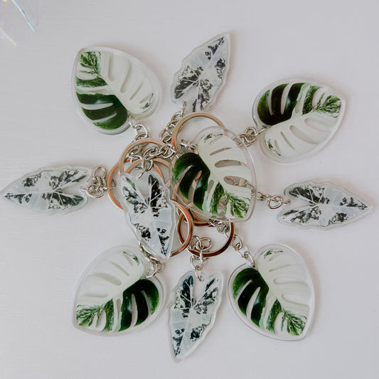 Variegated Plant Keychains