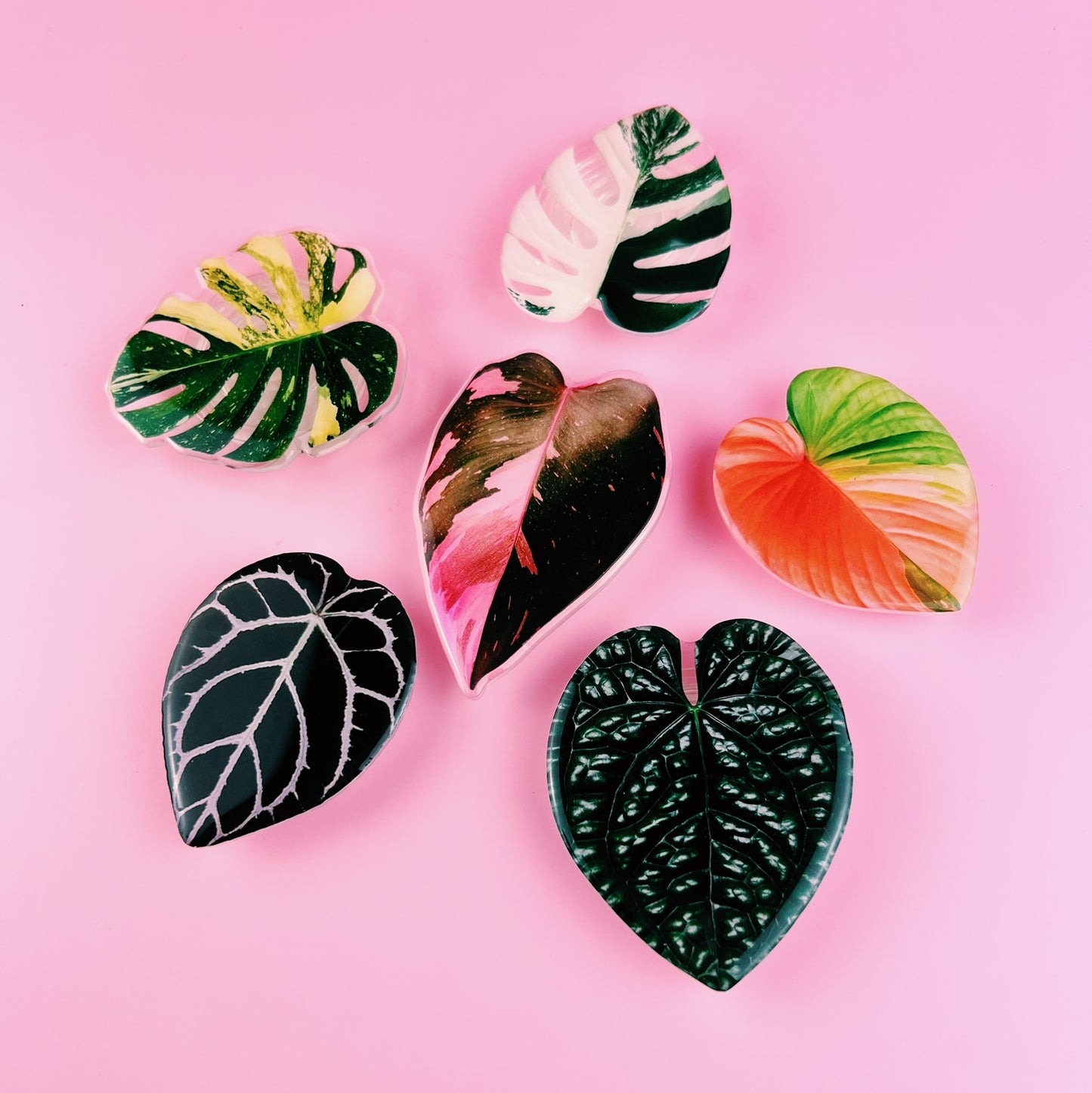 Rare Plant Collector Phone Grips