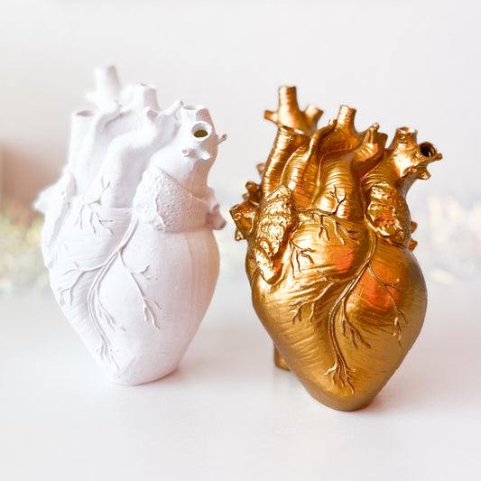 Anatomical Heart Vase