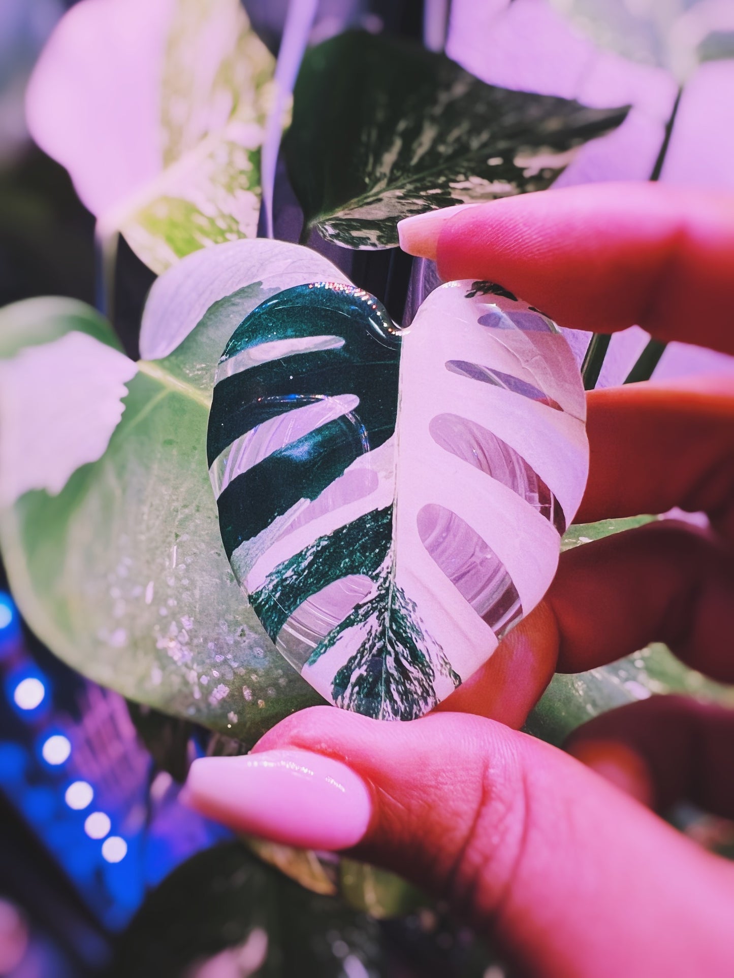 Rare Plant Collector Phone Grips