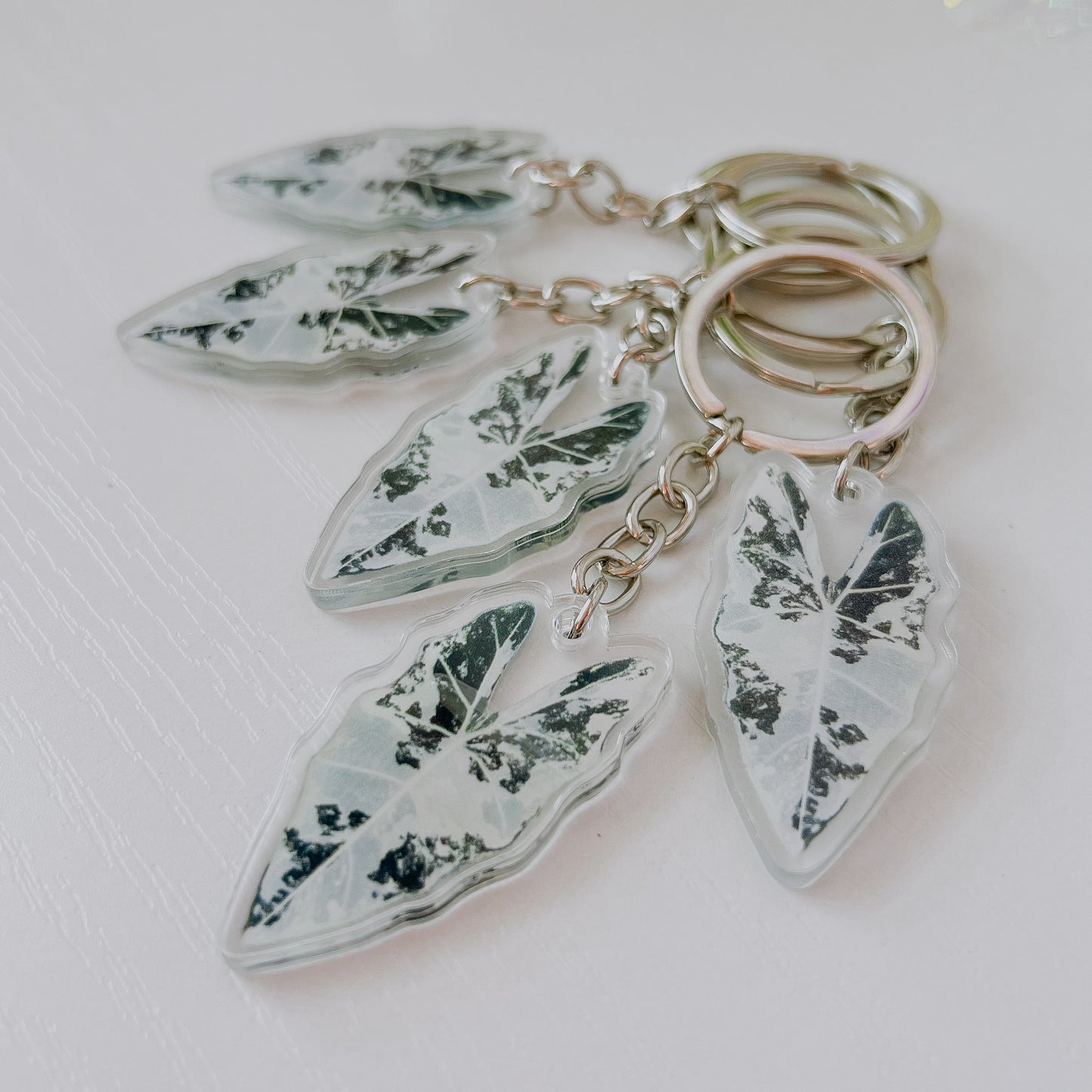 Variegated Plant Keychains