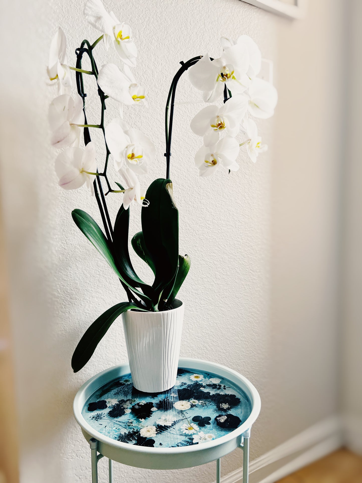 Real Preserved Flower & Resin Side Table (Aqua)