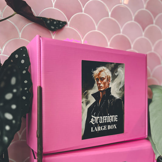 Dramione Bookish Box - LARGE