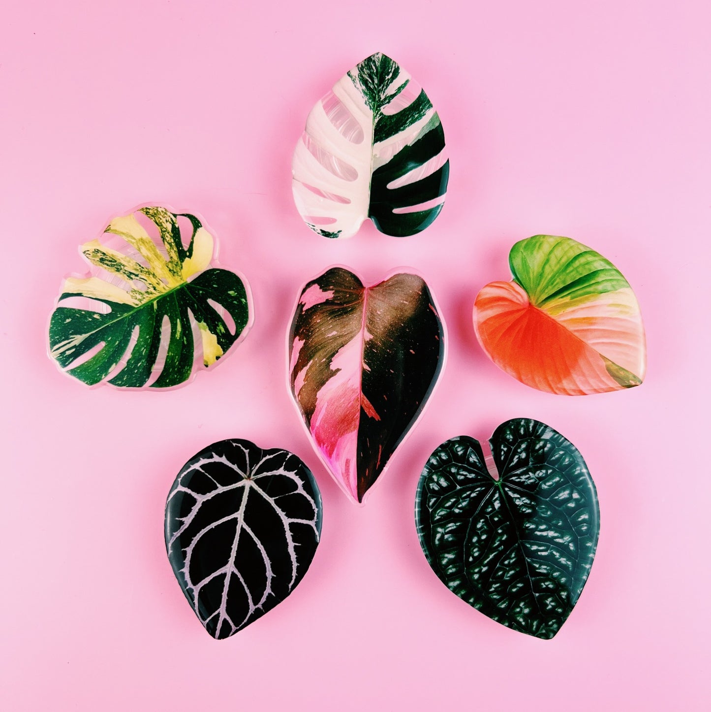 Rare Plant Collector Phone Grips