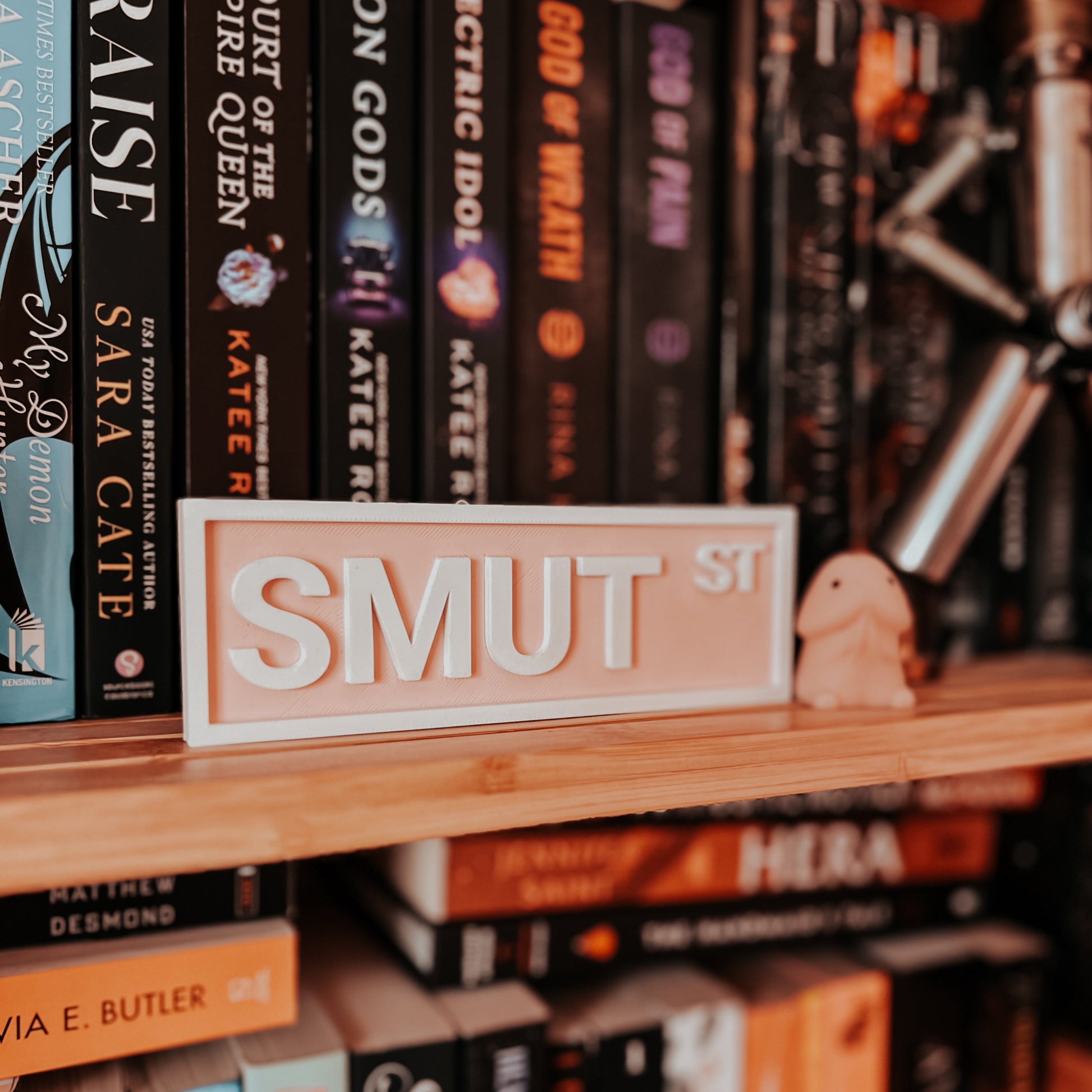 Bookshelf with books and a decorative sign reading 'Smut St'.