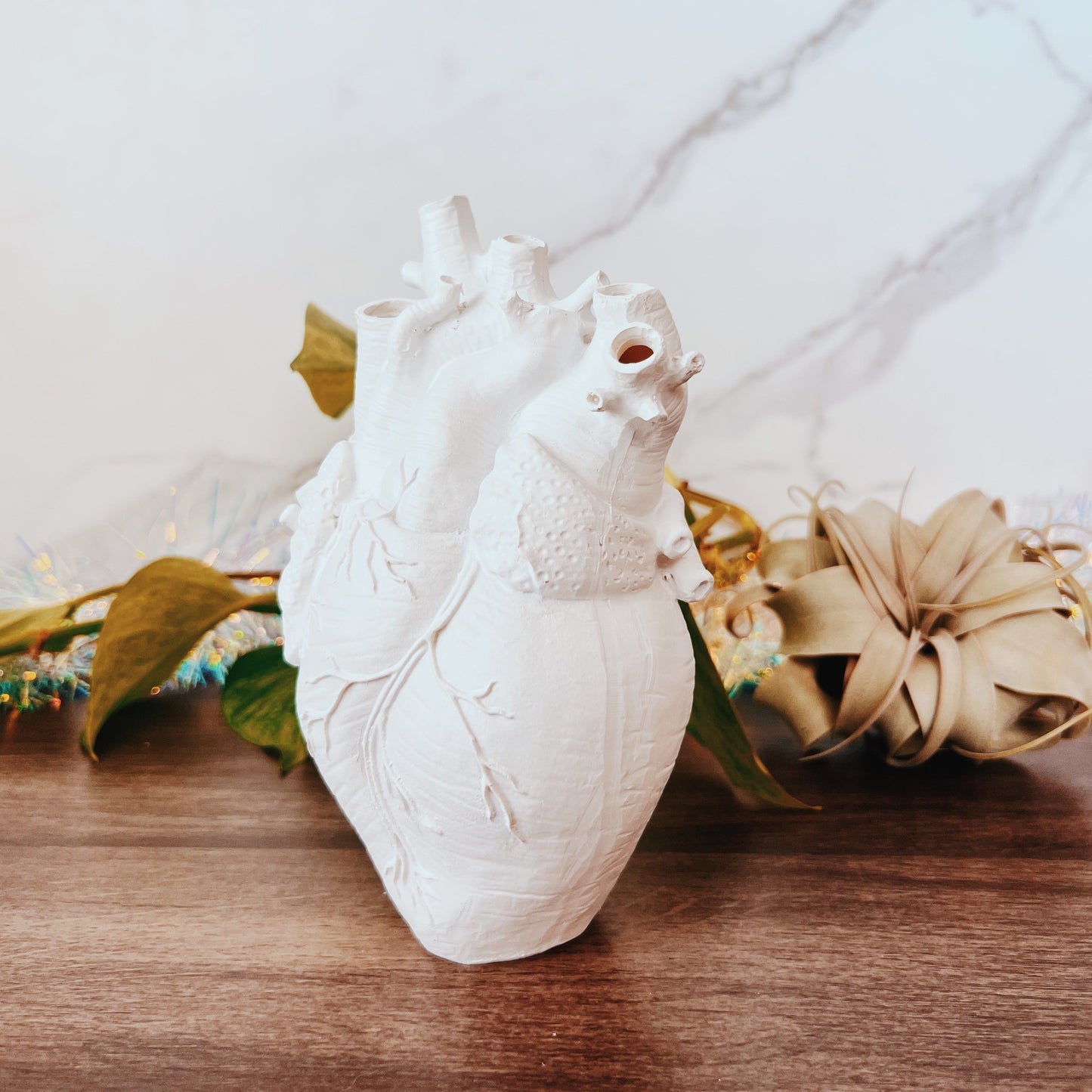 Anatomical Heart Vase