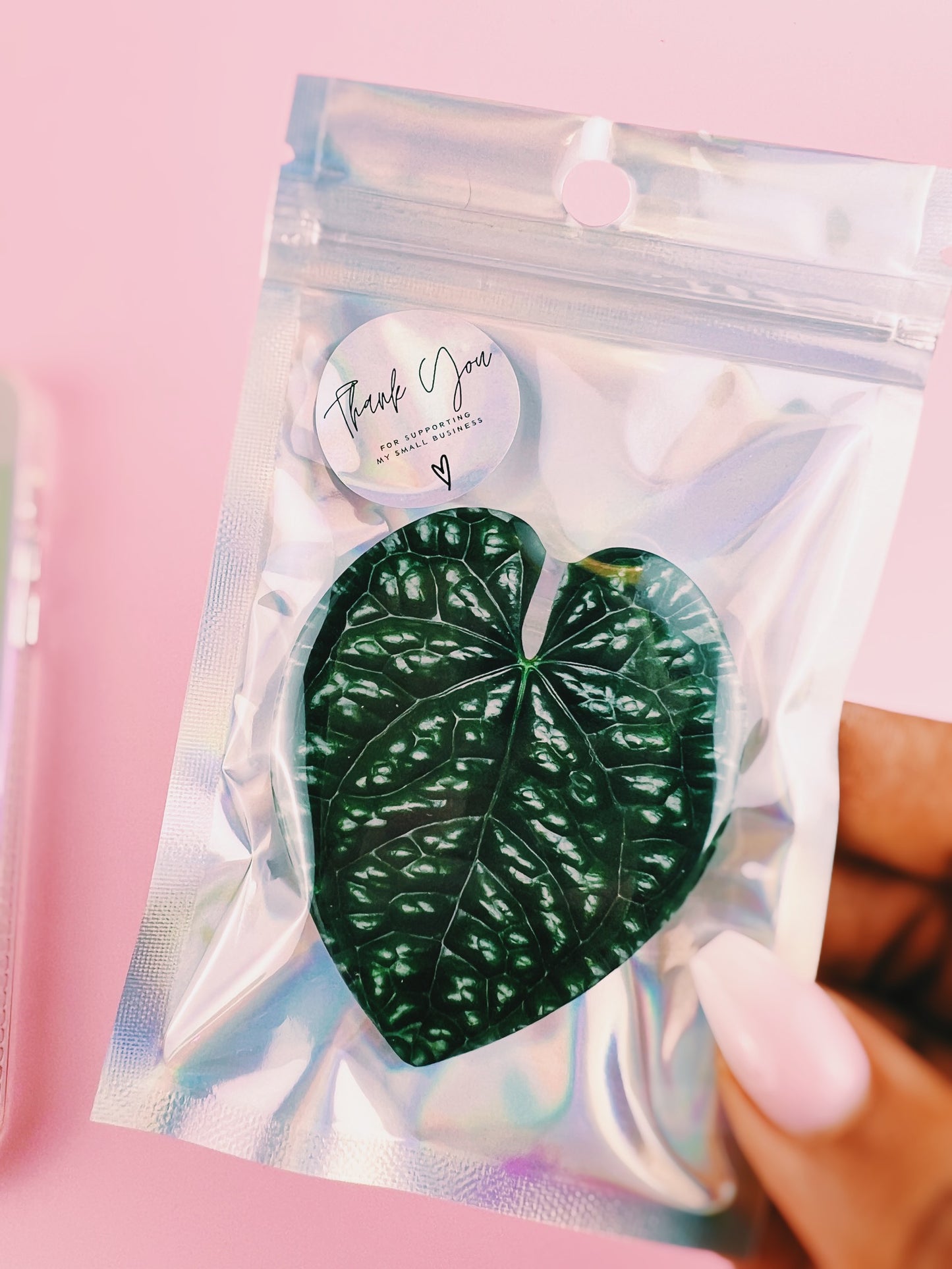 Rare Plant Collector Phone Grips