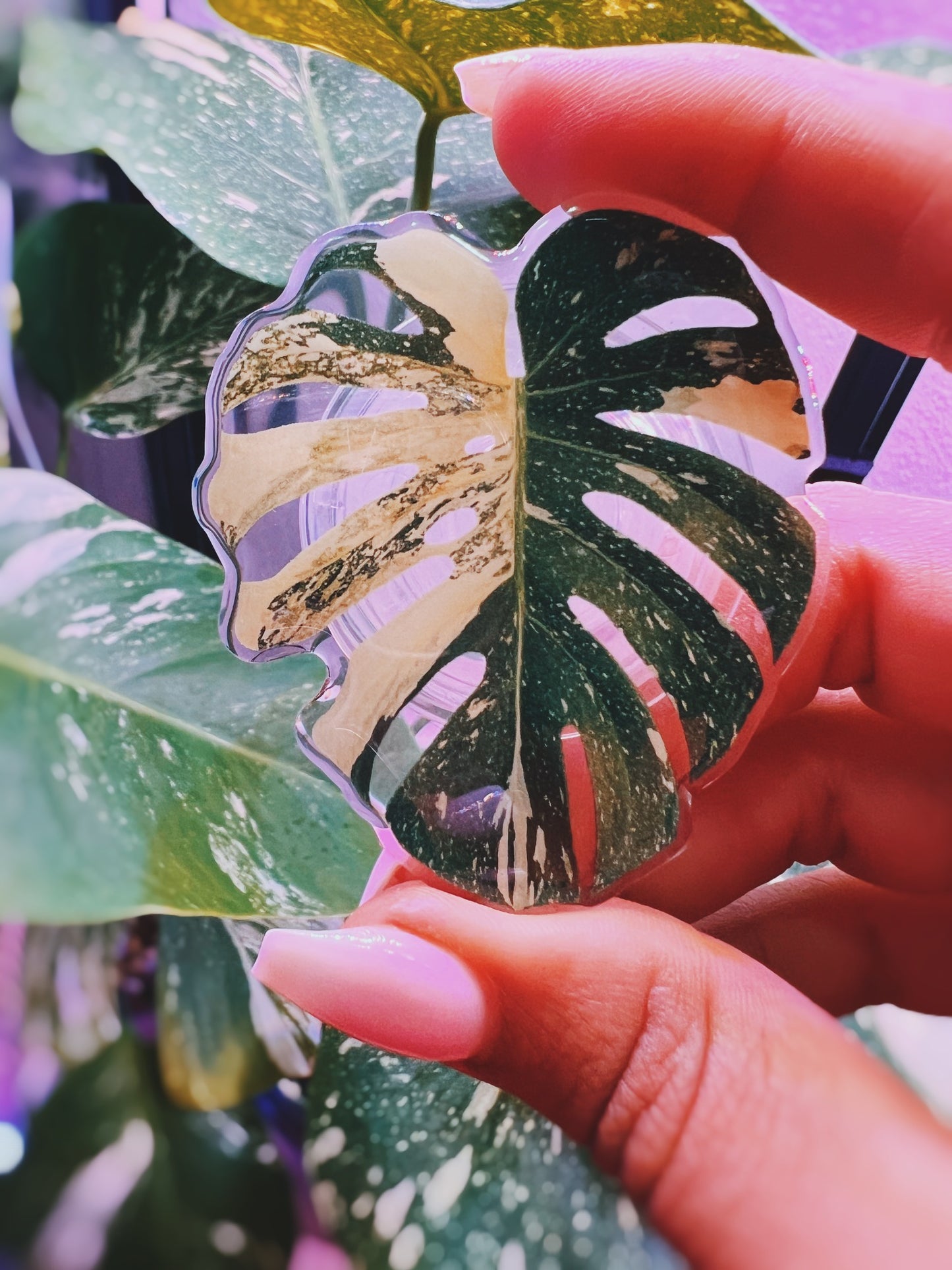 Rare Plant Collector Phone Grips