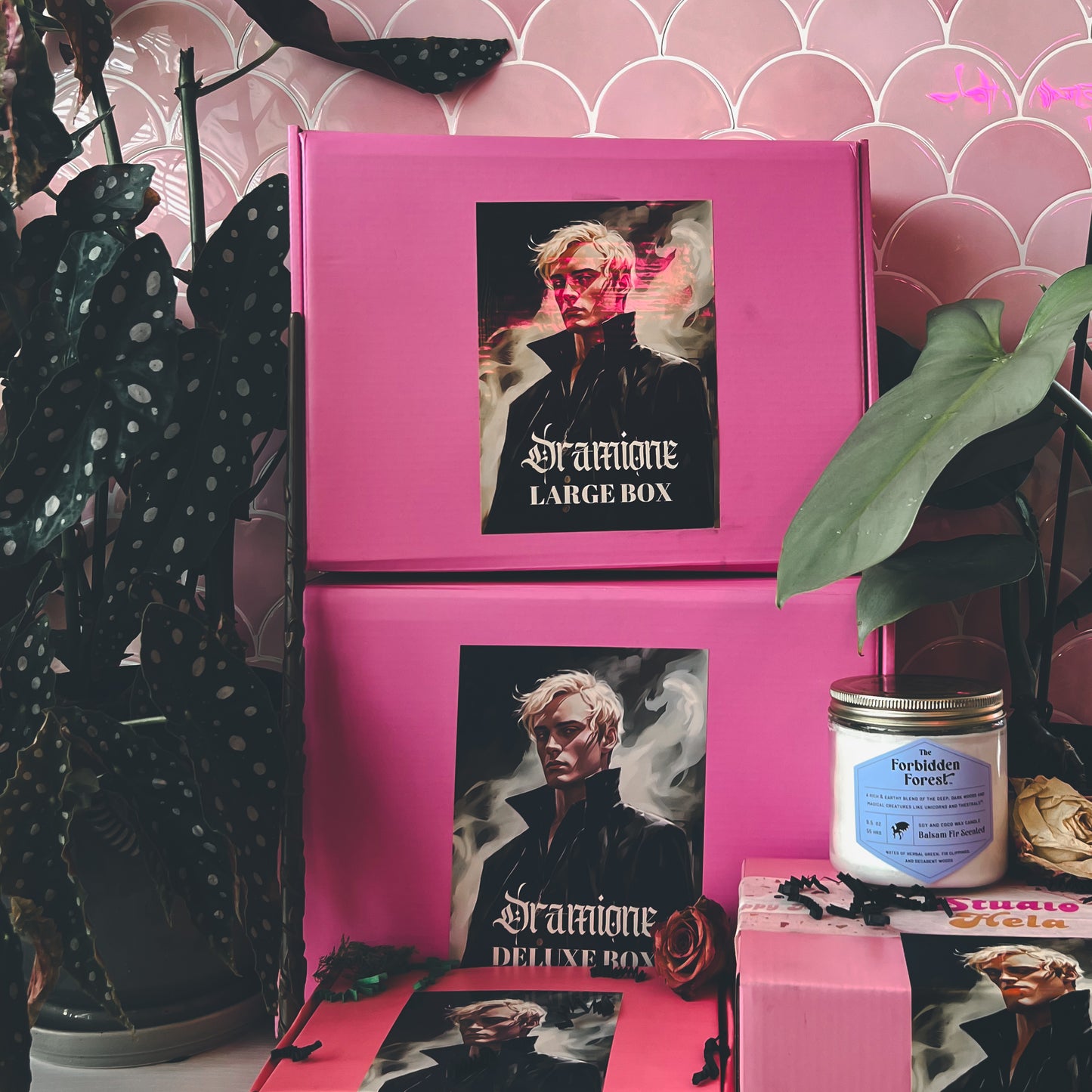 Dramione Bookish Box - DELUXE