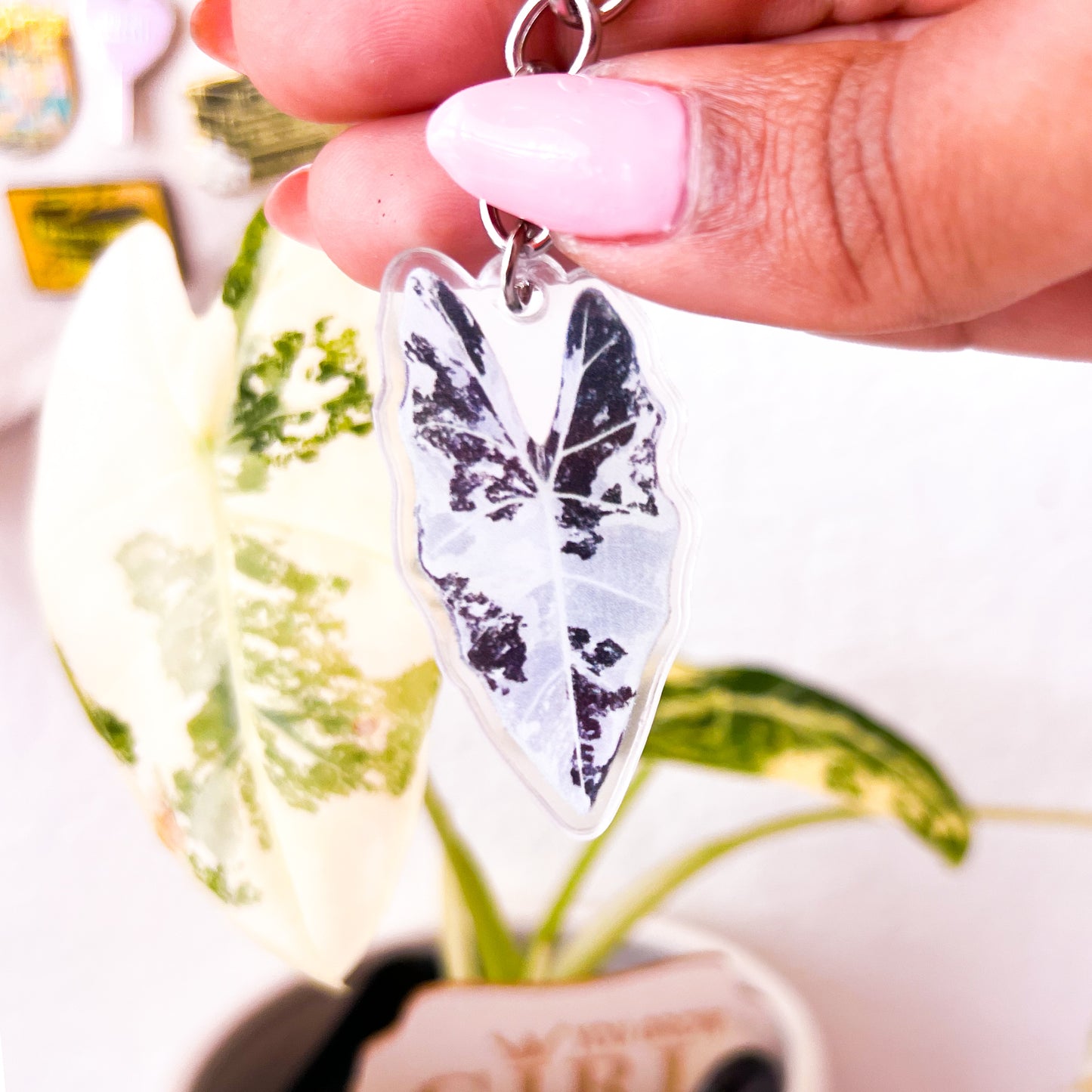 Variegated Plant Keychains