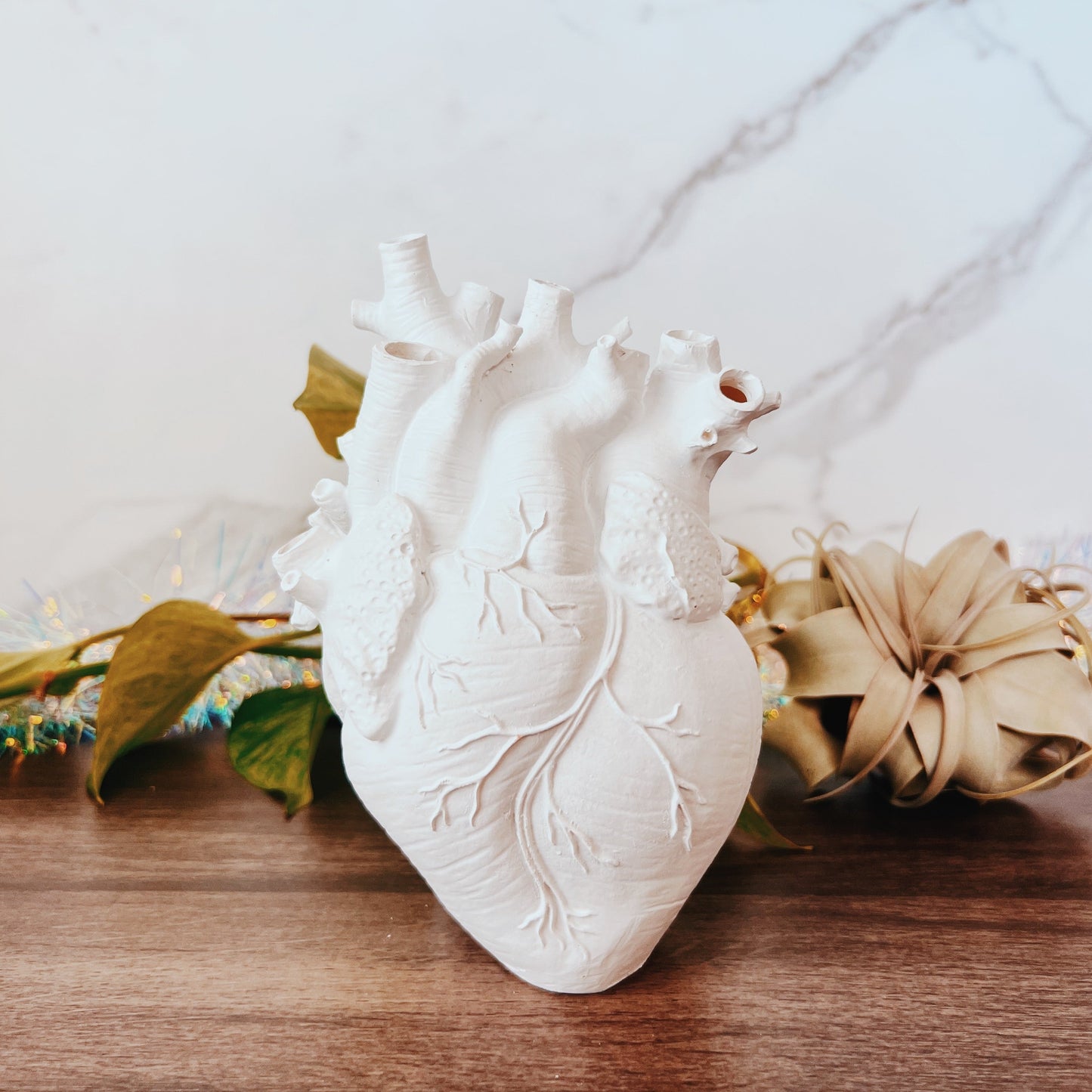 Anatomical Heart Vase